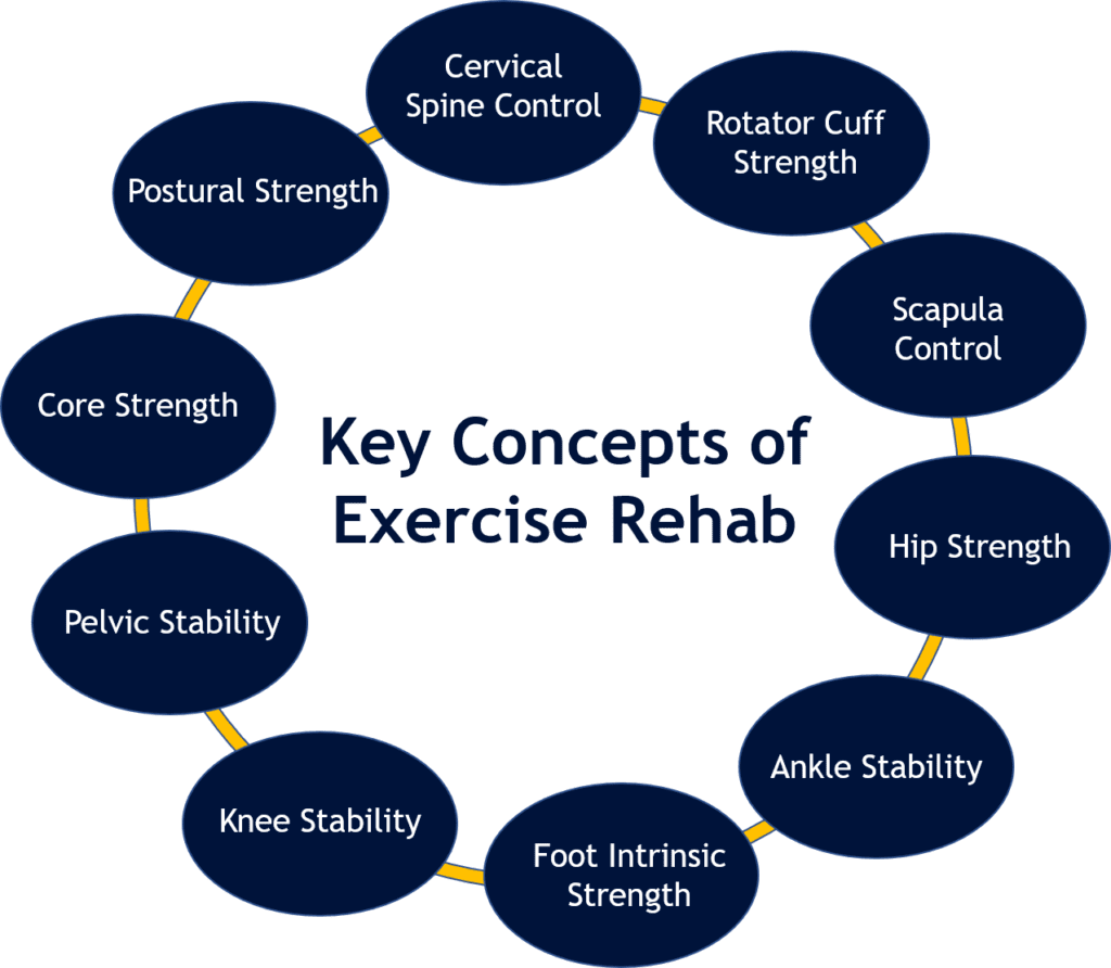 key concepts of exercise rehab